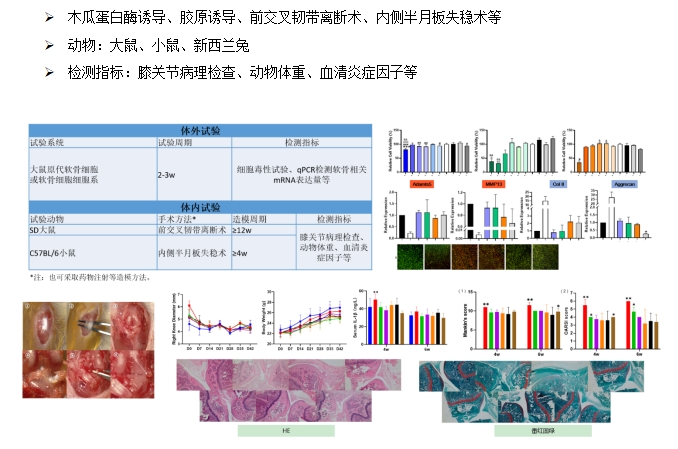 MrCat猫先生电竞(中国)官方网站