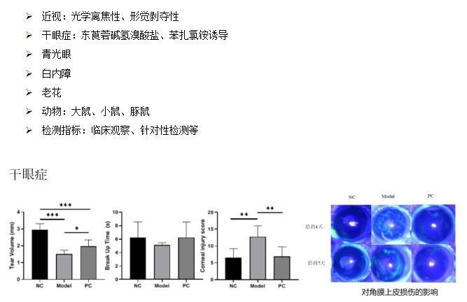 MrCat猫先生电竞(中国)官方网站